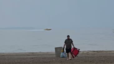 Beach fun did they do that.