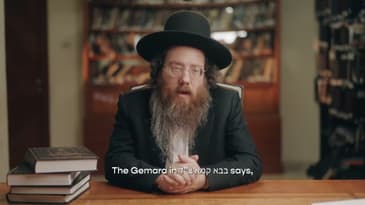 Nechdal 2024 video Horizontal