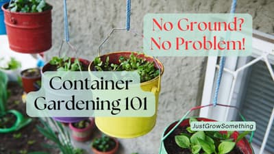 Container Gardening 101: No Ground? No Problem! - Ep. 297