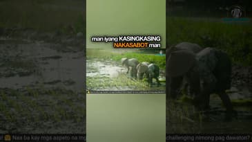 Ang Tabunok nga Kasingkasing Magdala sa Pagtubo ug Kaabunda sa Kinabuhing Kristohanon