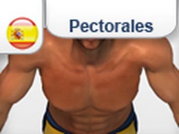 3 D Instrucciones Ejercicio"Explosivos Push Up " para  Pecho Pectorales