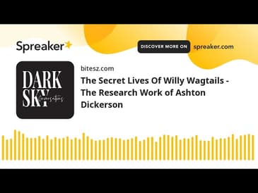 The Secret Lives Of Willy Wagtails - The Research Work of Ashton Dickerson