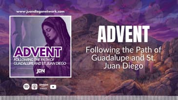 Day 17: Where are you going? | Advent: Following the Path of Guadalupe and St. Juan Diego