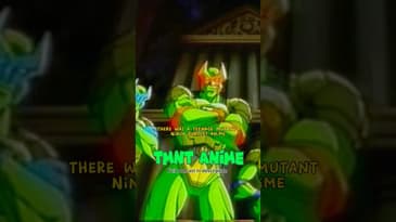 Teenage Mutant Ninja Turtles Anime??