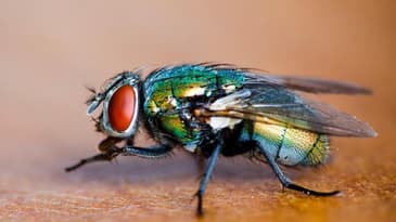 Average Intelligence Podcast #2 (Eric and Jake)