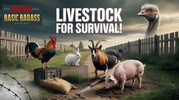 The Best Livestock For Your Homestead