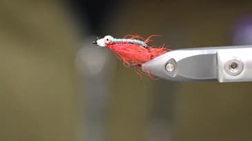 PART 2 OF OUR 4 PART SALTWATER SERIES. THE CRAZY CHARLIE