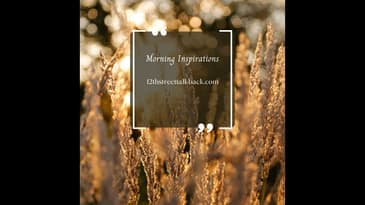 Morning inspirations