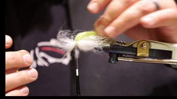 Wave Tail Streamer