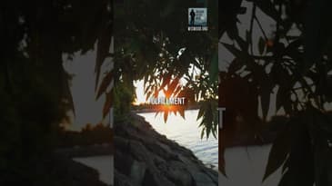 Reset Your Story #LifeReset #FreshStart #NewBeginnings #Faith #GodsGrace #GodsPlan