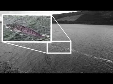 Lochness Monster Return is News AF - June 26, 2020