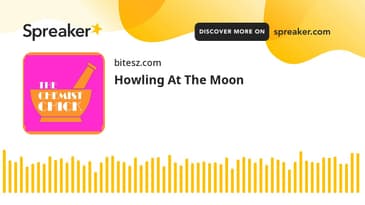 Howling At The Moon