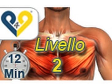 Allenamento pettorali - livello 2