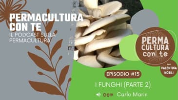 (EP15) I funghi (Parte 2) – con Carlo Marin