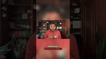 Rituals: Predictability and Quality Decisions in Chaos