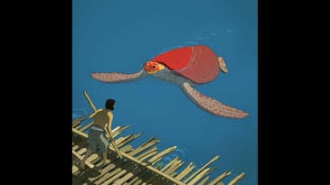 307: The Red Turtle