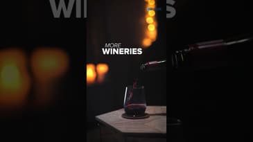 Why India’s Wine Industry Can’t 10x Fast 🍷