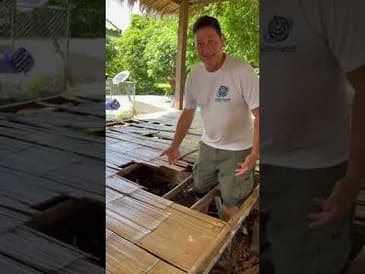 AN ACCIDENT WAITING TO HAPPEN! Globe Aware Fundraiser for Thailand Kindergarten