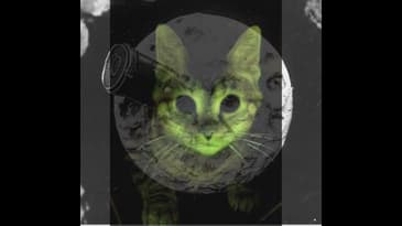 Ray Cats Nuke the Moon