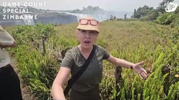 What To Expect At Victoria Falls! ( Part 4) Zimbabwe Game-Count Special with Globe Aware (2023)