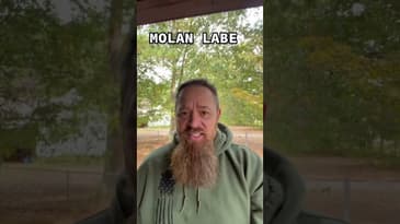 Molan Labe