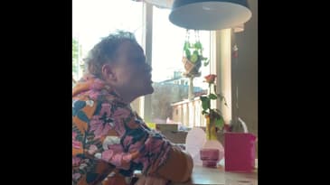 Saker man mycket sällan skriker...