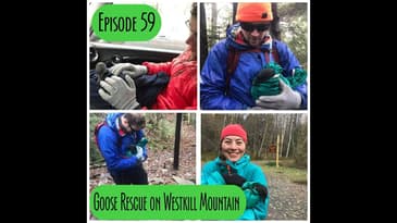 Episode 59 - Goose Rescue on Westkill