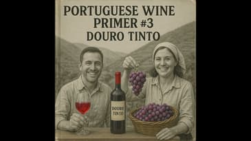 Portuguese Wine Primer #3: Douro Tinto!