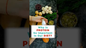 Are You Eating Enough Protein?!