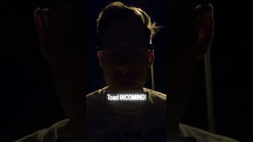 A Matter of Life and Death... and Toads 𓆏