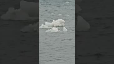 Ice on the river, out in Algonac Michigan.