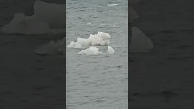 Ice on the river, out in Algonac Michigan.