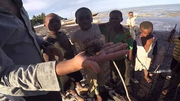 African Adventure to Masai Mara & Zanzibar