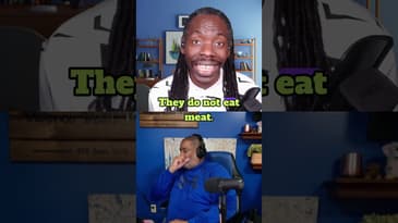 Gorillas, Rhinos, and Elephants, Oh My!  ||  DIVORCE RECOVERY MEN OVER 40