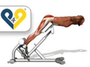 Estensioni del busto (Hyperextension)