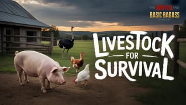 Can These Animals Save Your Life?