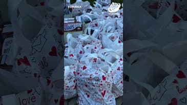 What Did He Do For A Week in Brasov? Romania with Globe Aware