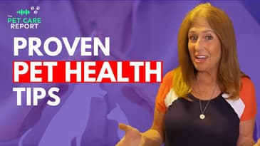 6 Steps to Heal Your Pet: Proven Veterinary Tips for Lasting Health