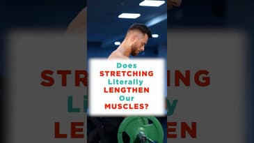 Stretching Doesn't Actually Lengthen Your Muscles!