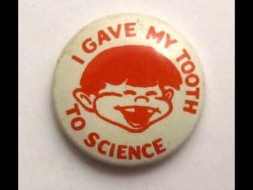 St. Louis Baby Tooth Survey with Nina Gilden Seavey