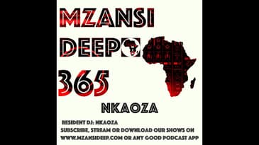 DEEP SOUL VINYL MIX - Mzansi Deep 365 - Nkaoza
