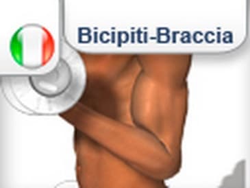 Tabella allenamento forza bicipiti