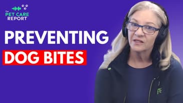 What To Do If Your Dog Bites Someone