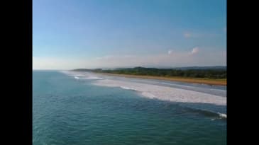 COSTA RICA SEA TURTLE VOLUNTEER VACATION