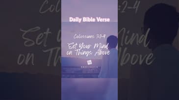 Daily Devotional - Colossians 3:2-4‬ - #motivation #motivational #inspiration  #bible