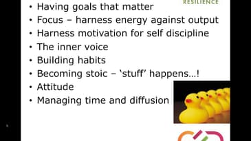 Resilience and Stamina