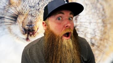 Storytime: Dangerous Animals Attacking Backpackers