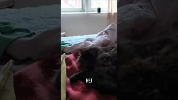 Det var så mysigt! Jag ville bara visa!