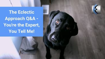 The Eclectic Approach Podcast - Q&A - You're the Expert You Tell Me!