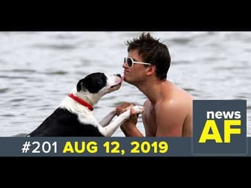 News AF LIVE: Monday, August 12, 2019 (fixed)